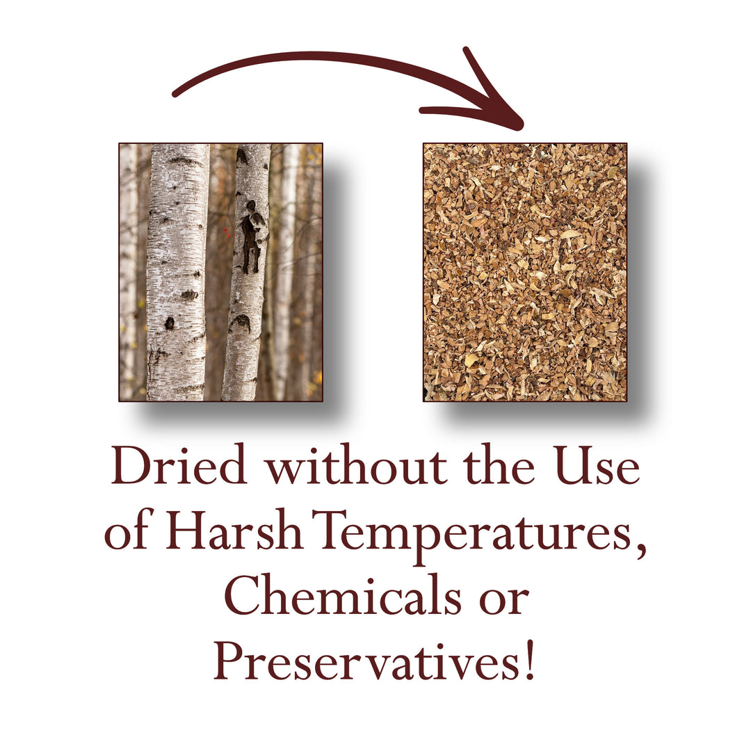 Birch Bark Cut