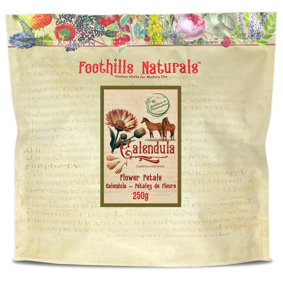 Calendula petals for Horse Treats and Wellness