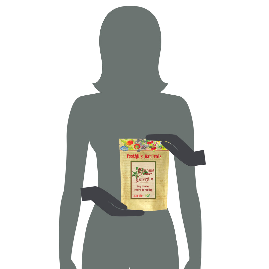 Gymnema Sylvestre Powder
