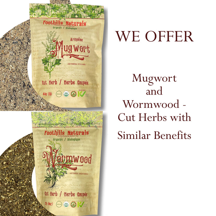 Mugwort Herb Organic Cut - Digestion, Good Sleep