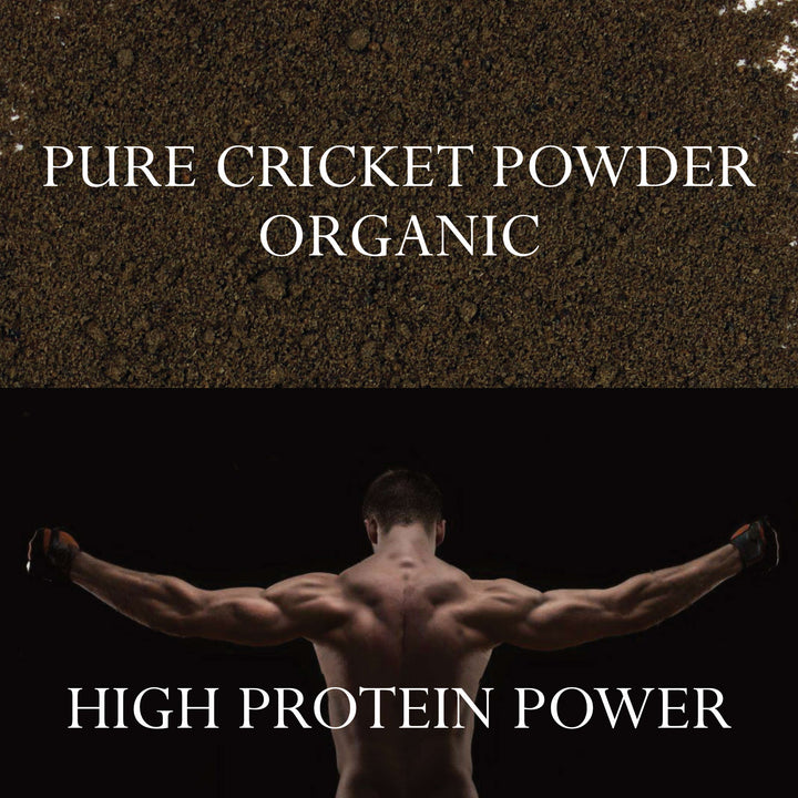 Organic High Protein Cricket Powder - 1 Pound /454g - Pure, Keto, Paleo Sustainable Superfood | Foothills Naturals Canada | Ancient Herbs for Modern Use