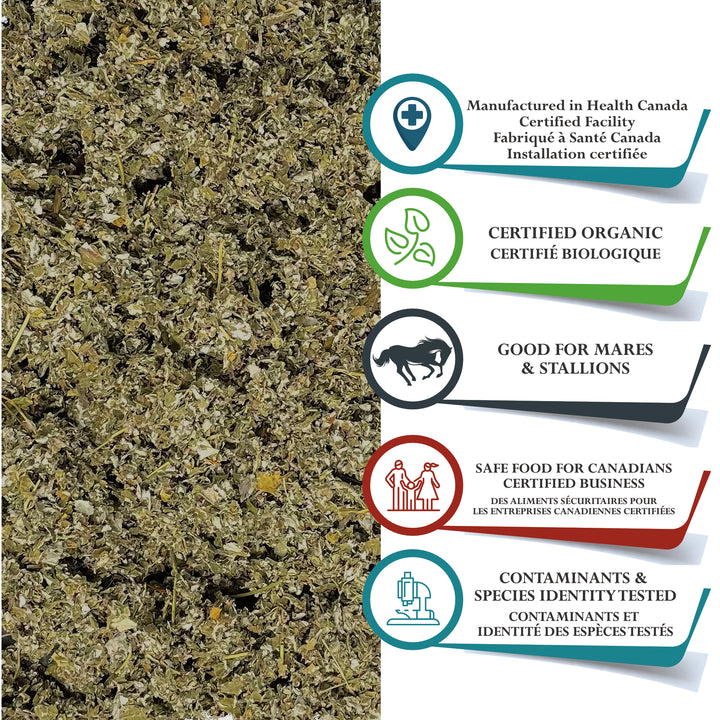 Raspberry Leaf Organic Cut and Sifted - 1 Pound (454g) Equine Herb for Mares, Geldings, Stallions. Nutritional, Moodiness Control