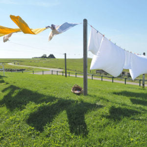 Natural Laundry Products