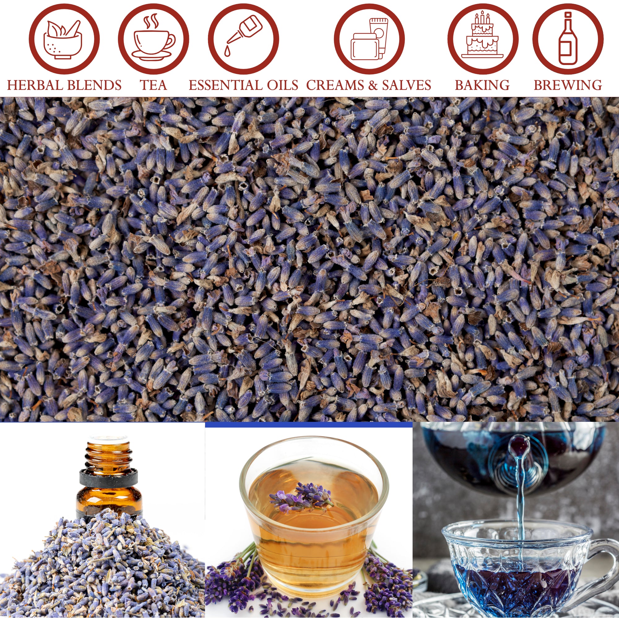 French Lavender Flowers - 454g / 1 pound , for Tea, Cosmetics and Brewing