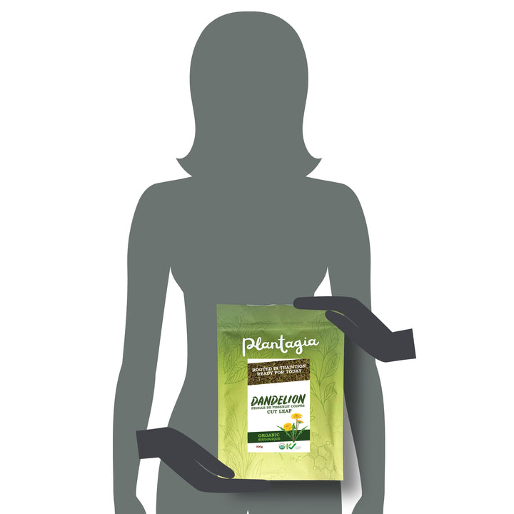 Dandelion Leaf  Cut Organic