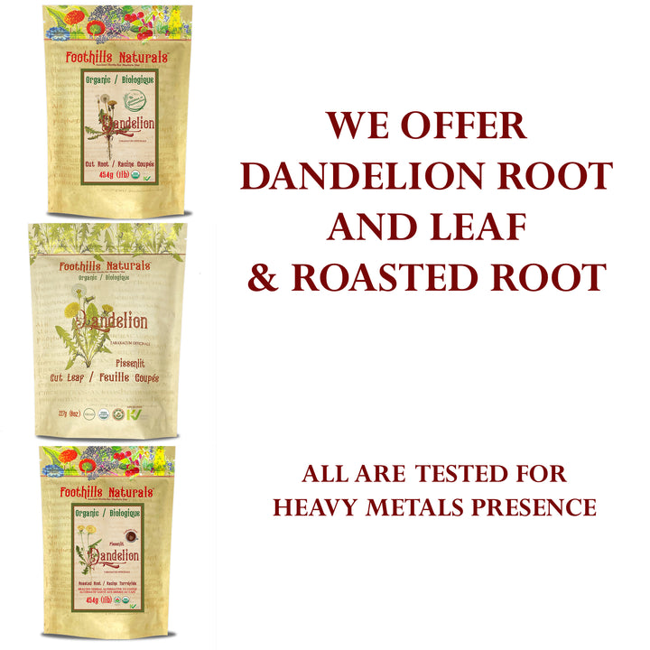 Dandelion Leaf Tea Organic - Bile Flow, Digestive Upset