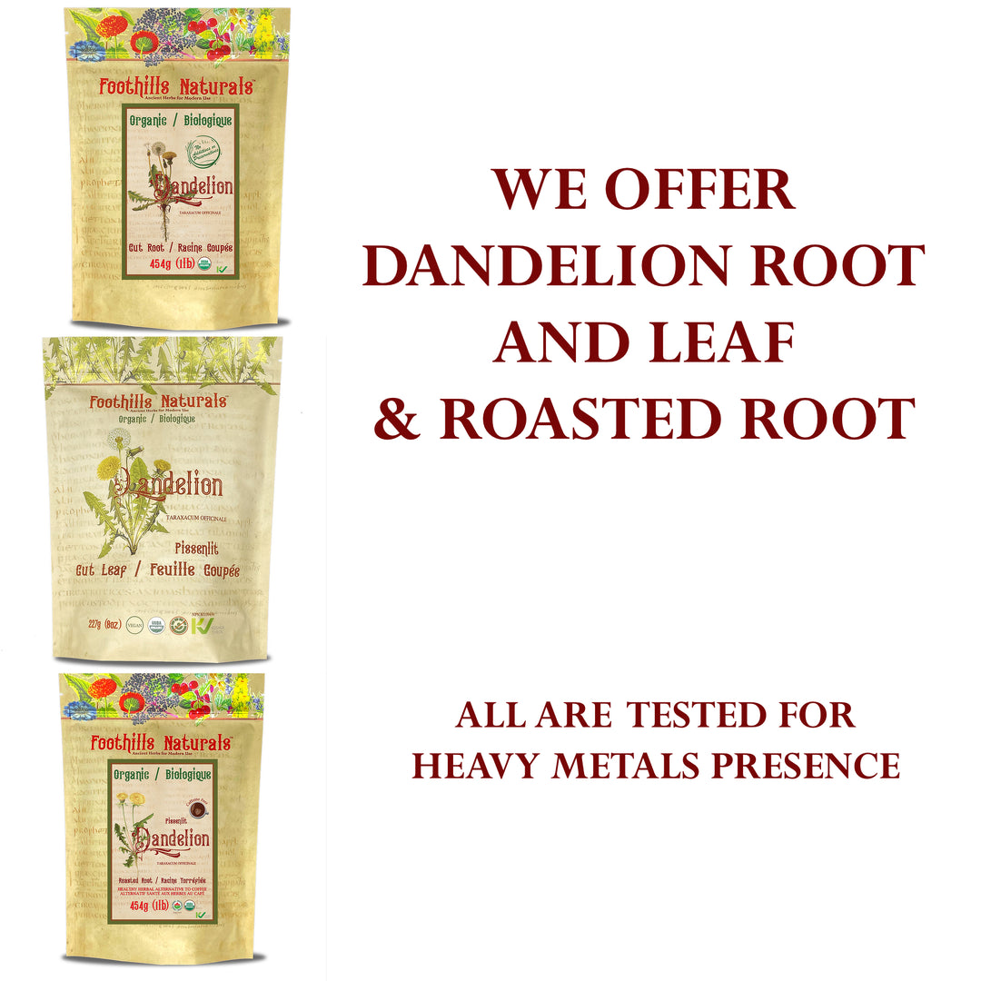 Dandelion Root Roasted Granules Organic - Herbal Coffee Alternative, Tea, Superfood