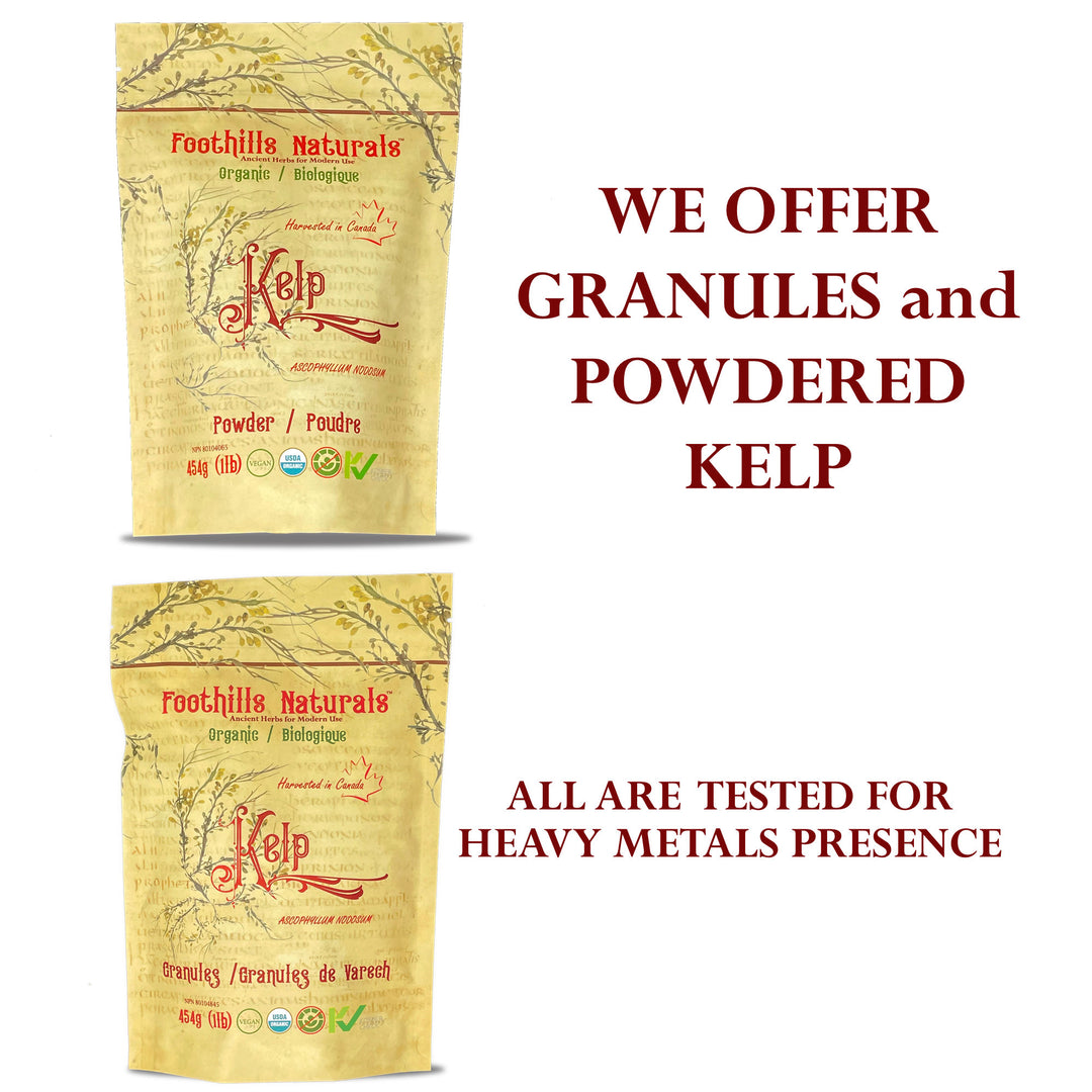 Kelp Powder Organic - Canadian