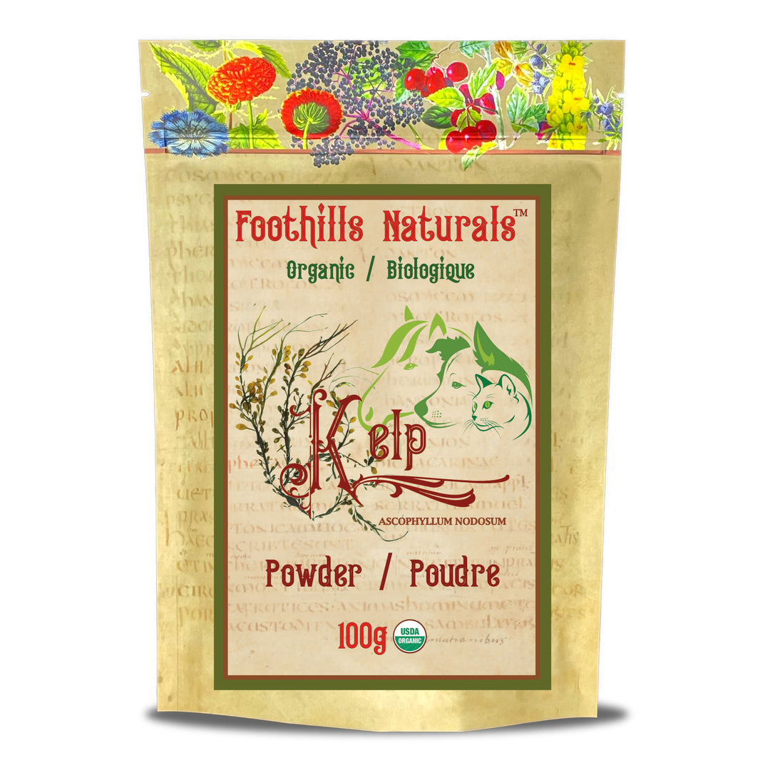 Kelp Powder for Animals