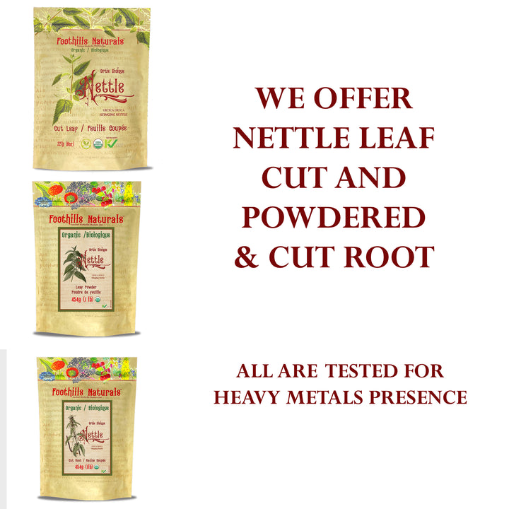 Nettle Root Organic Cut - Nutritive, Seasonal Allergy Relief