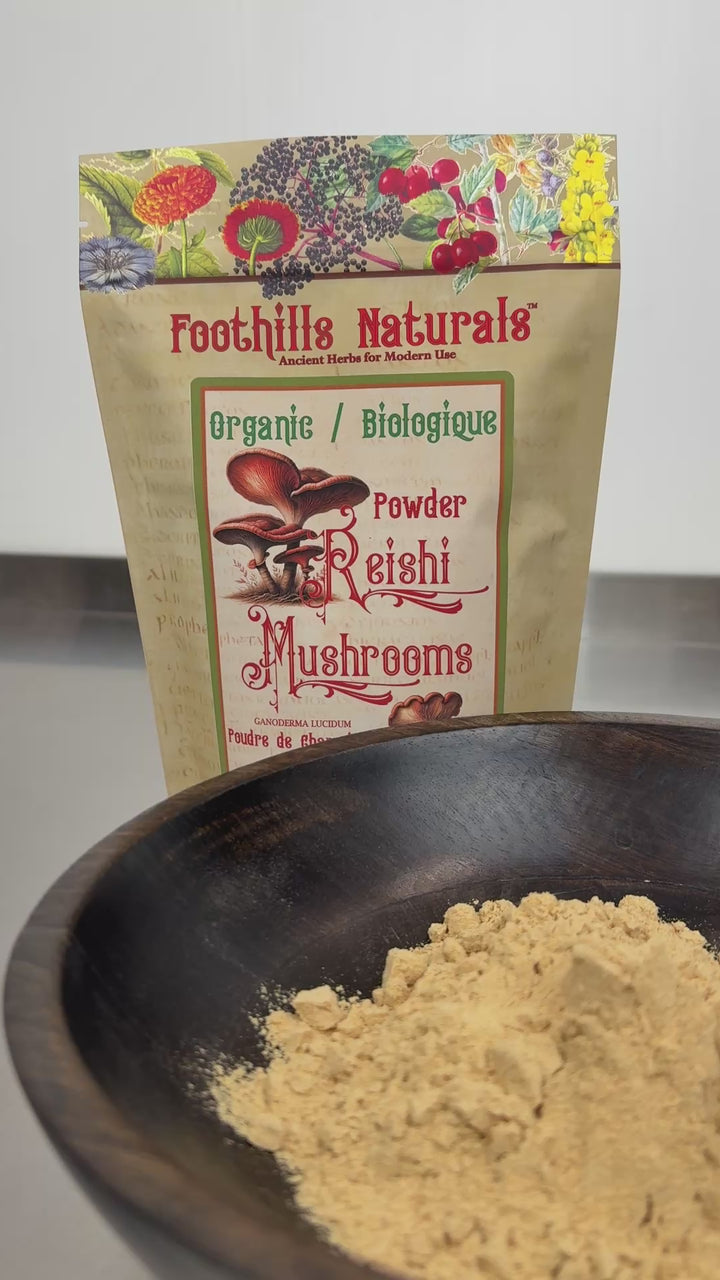 Reishi Mushroom Powder Organic