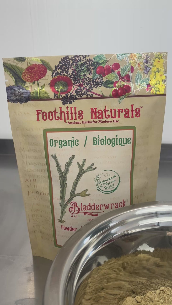 Bladderwrack Powder, Organic - Antioxidants