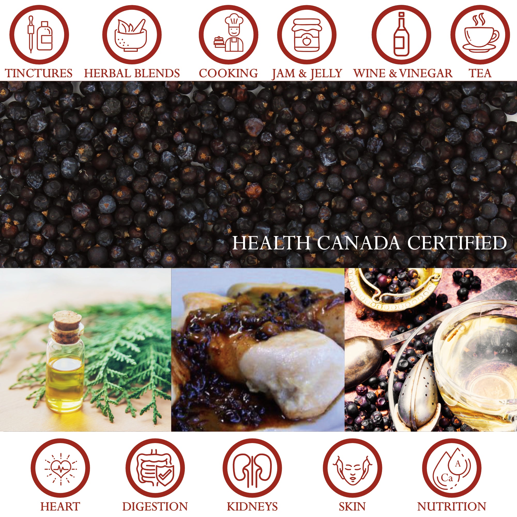 Juniper Berry Whole Organic -  Spicy, Aromatic, Urinary Health, Digestion