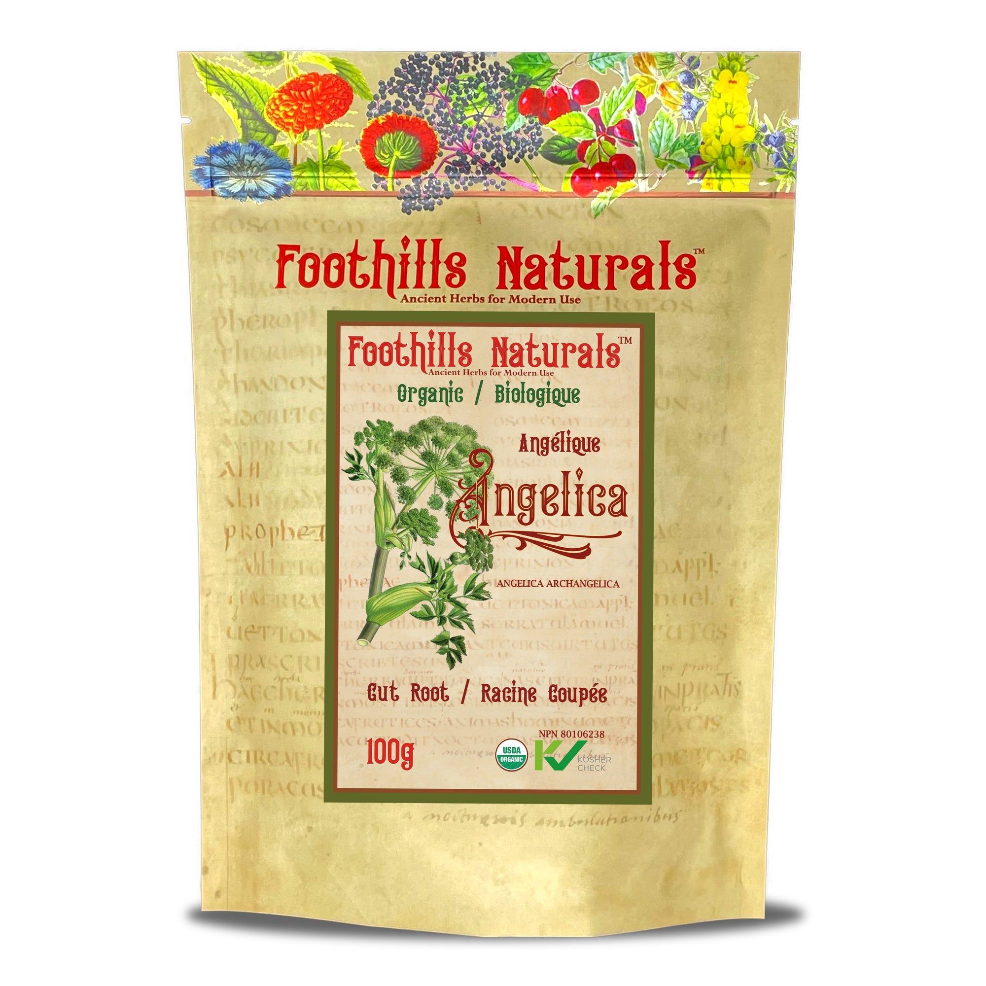 Angelica Root Organic - Cut Root, Digestion Aid