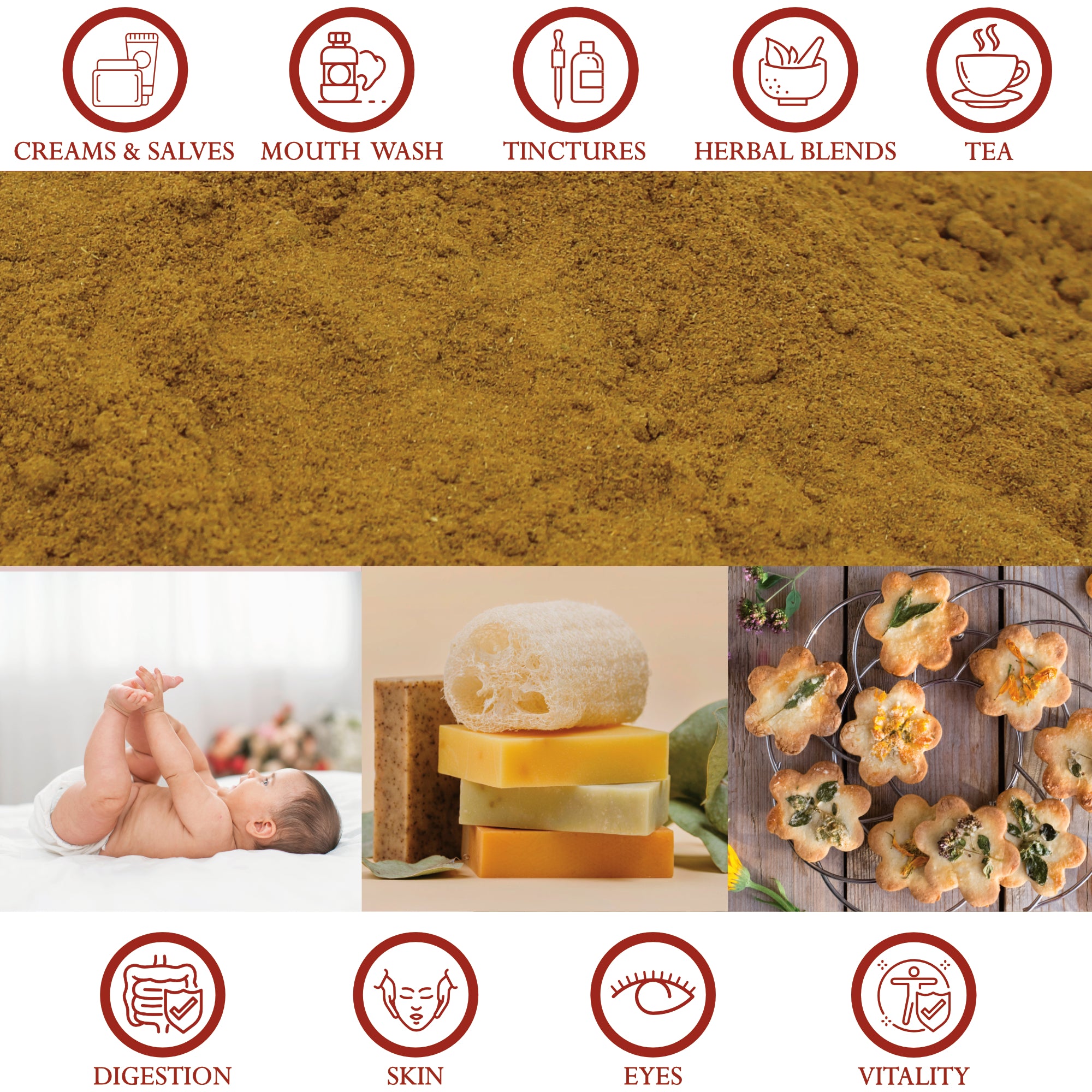 Calendula Powder Organic - 454g (1 lb) Pure, No Additives | Foothills Naturals Canada | Ancient Herbs for Modern Use