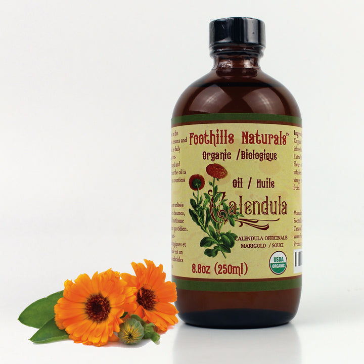 Calendula Oil Organic - 8.8 oz (250mg) Infused in Organic Cold Pressed Virgin Olive Oil | Foothills Naturals Canada | Ancient Herbs for Modern Use
