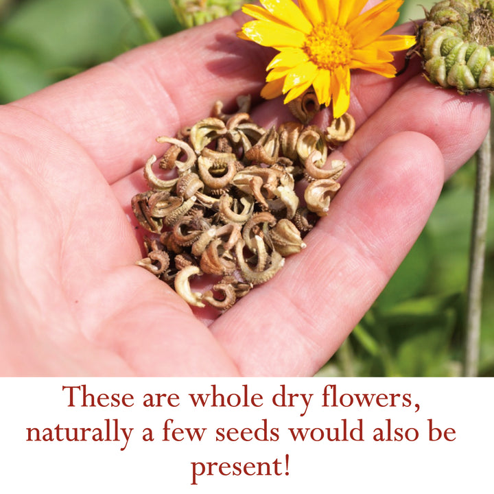 Calendula Flowers Whole Organic - Digestive Tract and Skin Health