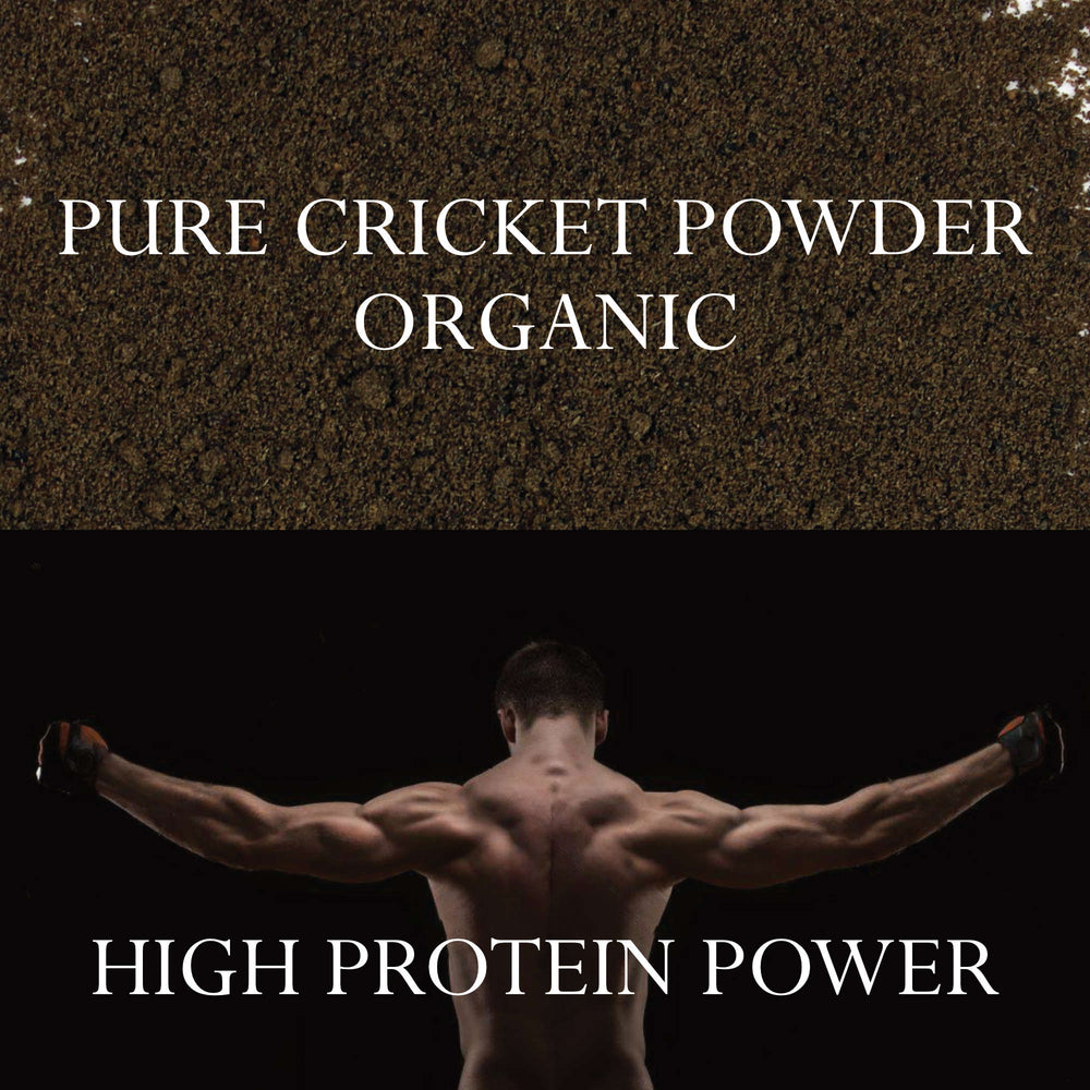 Organic High Protein Cricket Powder - 1 Pound /454g - Pure, Keto, Paleo Sustainable Superfood | Foothills Naturals Canada | Ancient Herbs for Modern Use