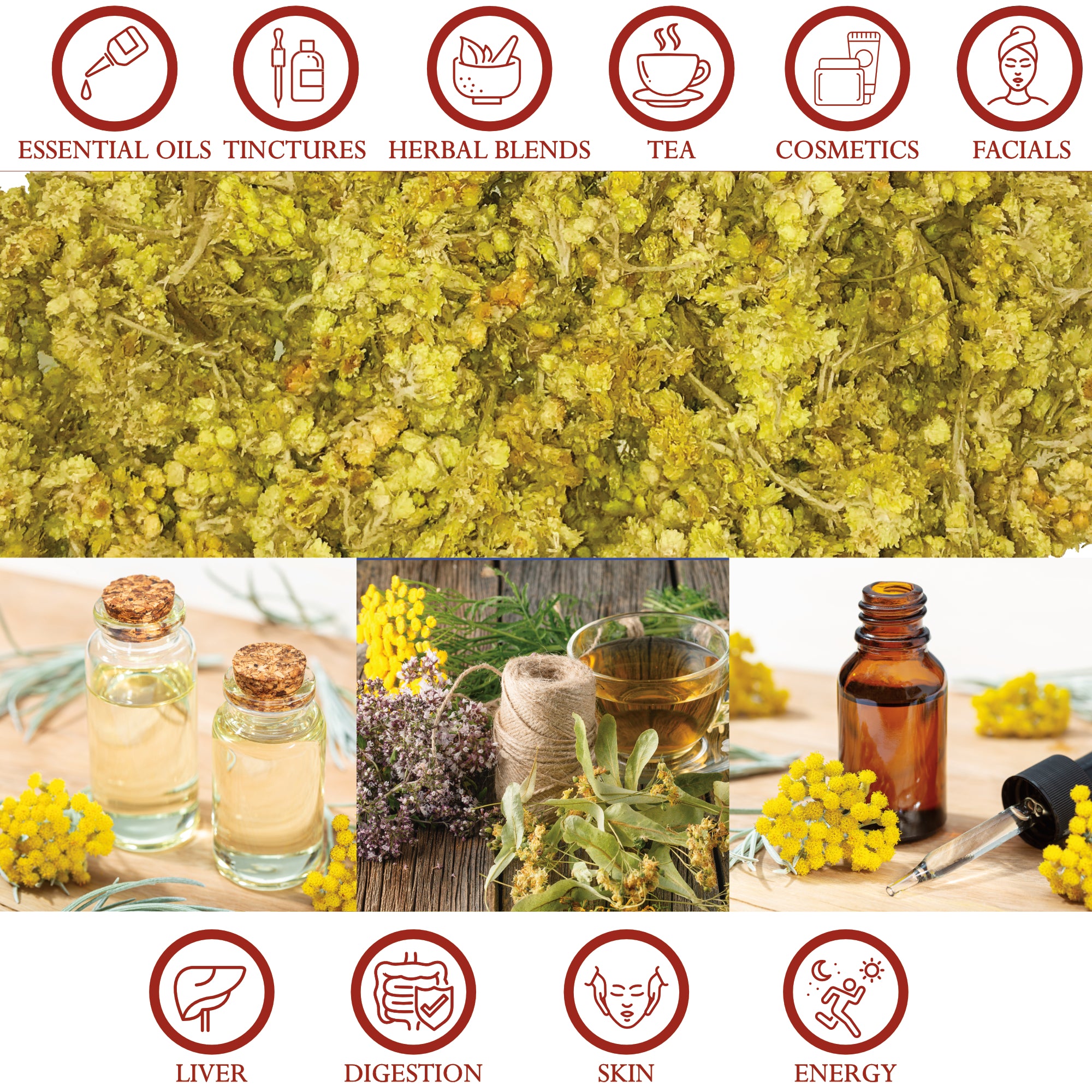 Life Everlasting Herb (Goldilocks, Immortelle) Flowers Organic - Loose Heb package | Foothills Naturals Canada | Ancient Herbs for Modern Use