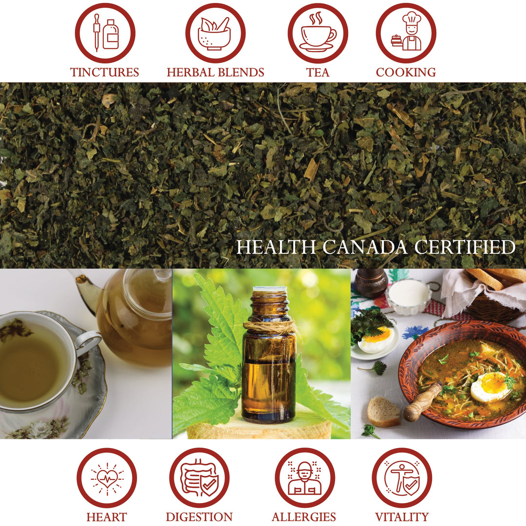 Nettle Leaf Tea Organic – Cut Leaf, Loose Tea –  Diuretic, Caffeine Free | Foothills Naturals Canada | Ancient Herbs for Modern Use