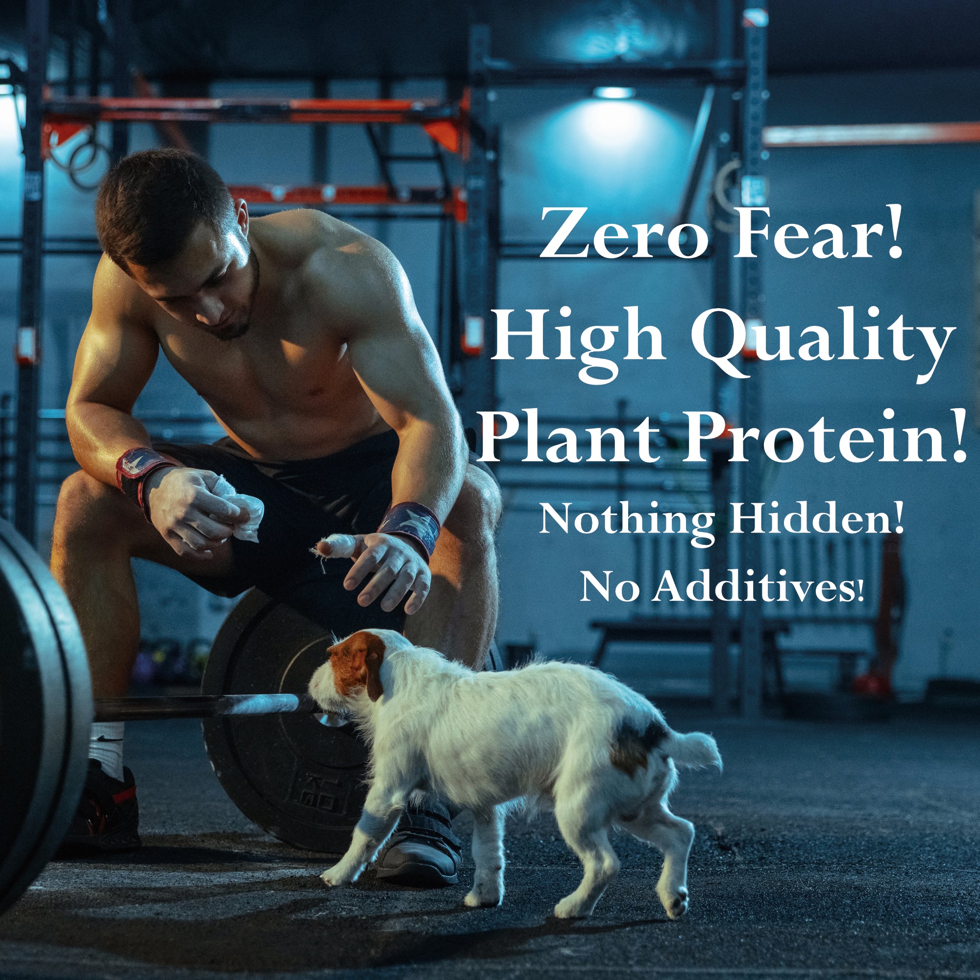 Pea Protein Powder Organic - 82% Plant Protein, No Additives, Unsweetened